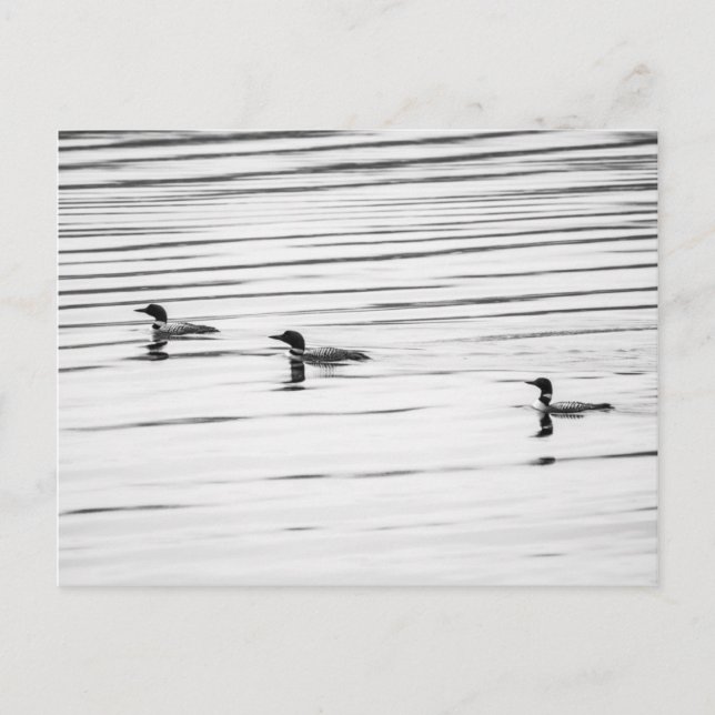 Lite Loony - vykort (Framsida)