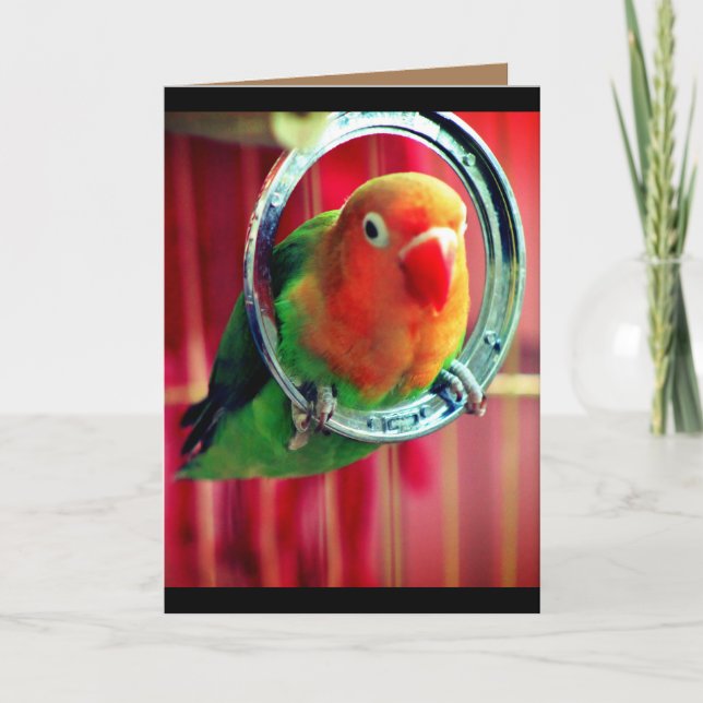 Lite Lovebird Kort (Framsida)