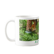 "Lite Nöt", Röda ekorrar uppifrån och ned.