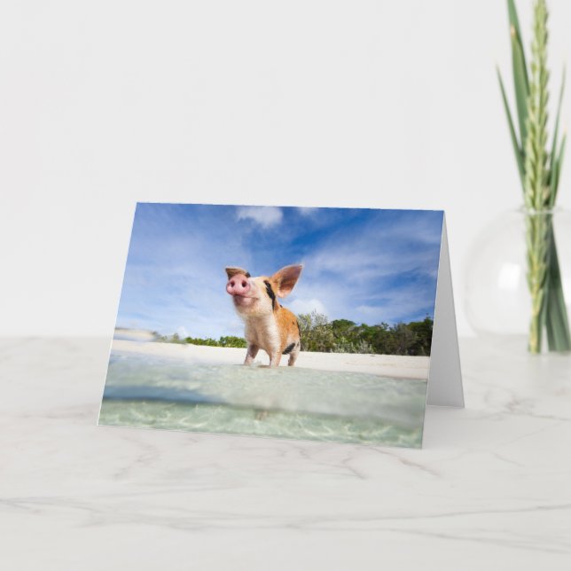 Lite piglet kort (Framsida)