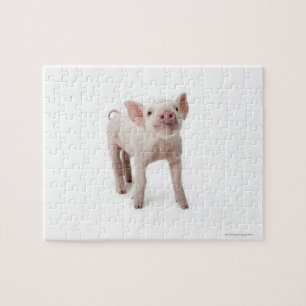 Lite Piglet Pussel
