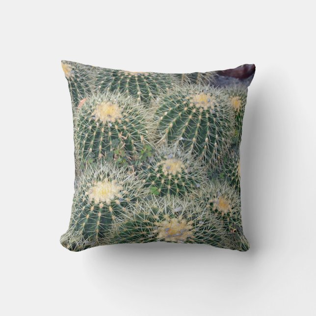 Lite prickly kaktusdekorativ kudde (Framsida)