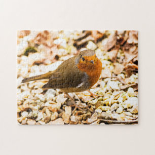 Lite Robin Redbreast Pussel