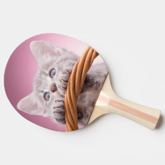 Lite rolig kattunge pingisracket
