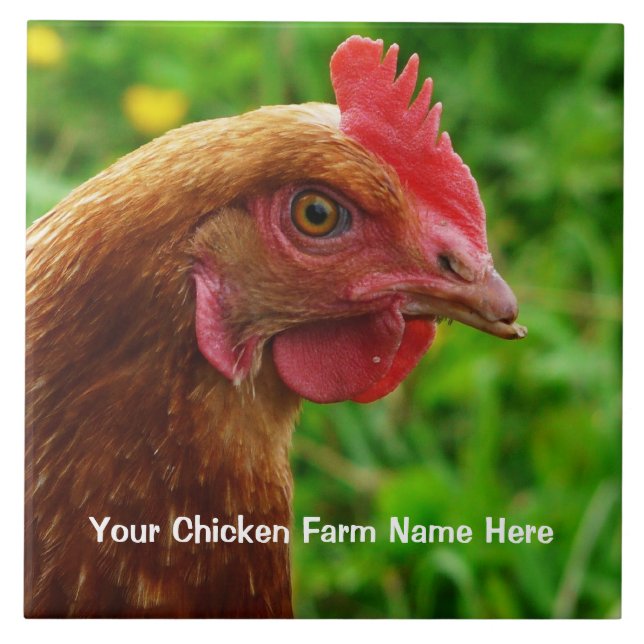 Lite rött värphöns - RIR- eller ISA-brunthöna Kakelplatta (Framsidan)