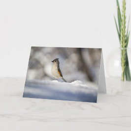 Lite snöfågel kort