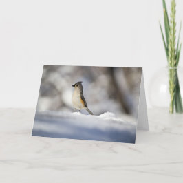 Lite snöfågel kort