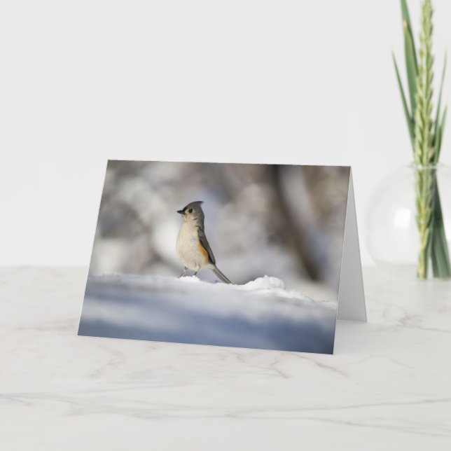 Lite snöfågel kort (Framsida)