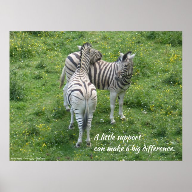 Lite stöd kan göra stor skillnad. Poster (Framsidan)