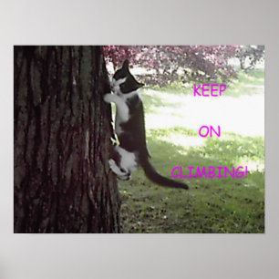 Lite stor trädaffisch för kattunge poster