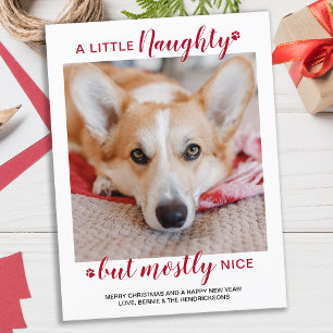 Lite stygg Personlig Hund Pet Photo Holida Vykort