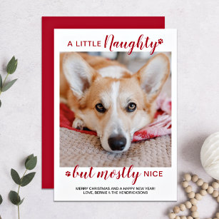 Lite stygg Personlig Hund Pet Photo Julkort