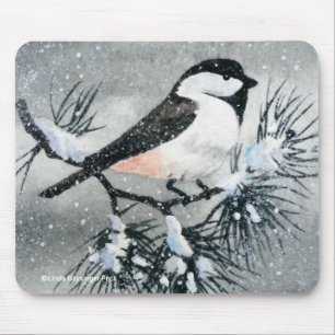 Lite svart Capped Chickadeefågel Musmatta