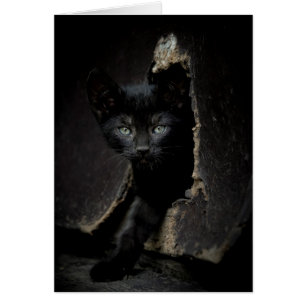 Lite svart kattunge hälsningskort