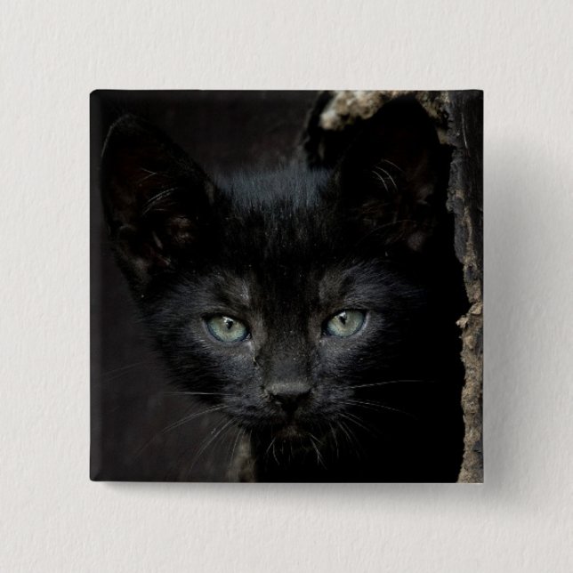 Lite svart kattunge knapp (Framsida)