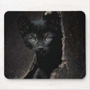Lite svart kattunge musmatta