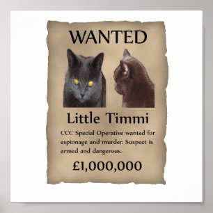 Lite Timmi önskad affisch