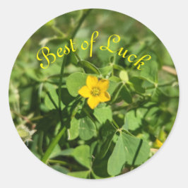 Lite Tur Flower Runt Klistermärke