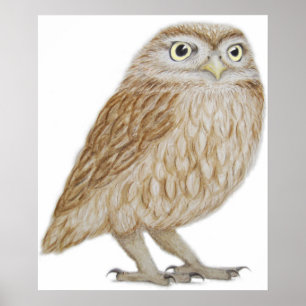 Lite uggla 2011 poster