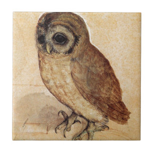 Lite ugglan av Albrecht Durer Kakelplatta
