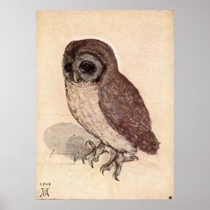 Lite ugglan av Albrecht Dürer Poster