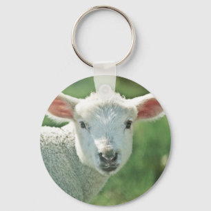 Lite vitLamb Nyckelring