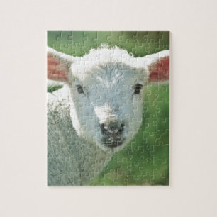 Lite vitLamb Pussel