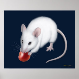 Lite vitmustryck poster