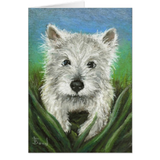 Lite Westie som leker i gräset Hälsningskort