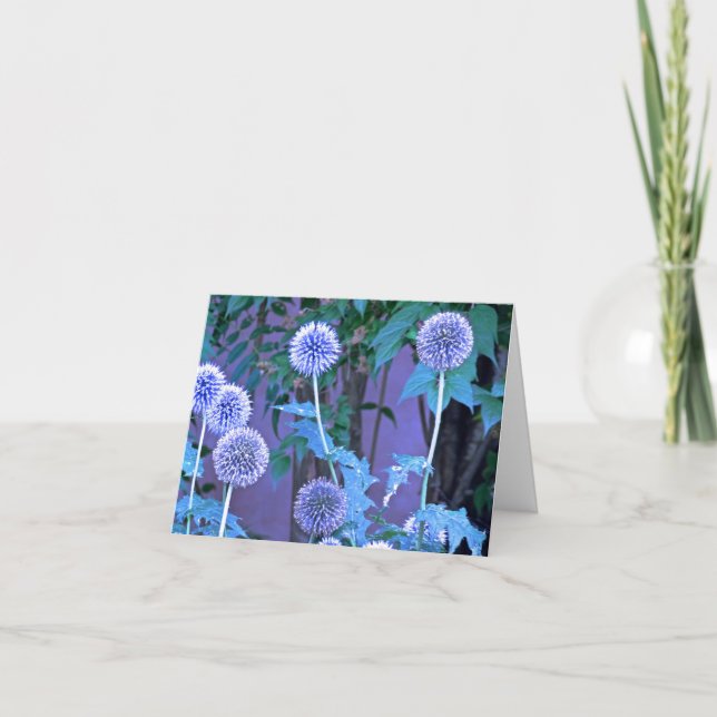 Liten, 4-tums x 5,6-tums-gratulationskort med vikt tack kort (Framsida)