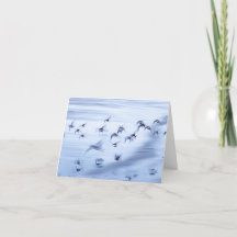 Liten, 4-tums x 5,6-tums mappat Helgdag-kort