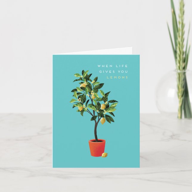 Liten, 4 x 5,6-tums Viktkort Kort (Framsida)