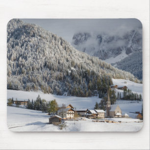 Liten alpin by i snömousepaden musmatta