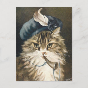 Liten blå kattpojke vykort