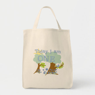 Liten bläckfisk 1:a födelsedag Tshirts och present Tygkasse