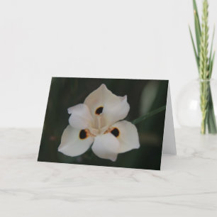 liten blomma tack kort