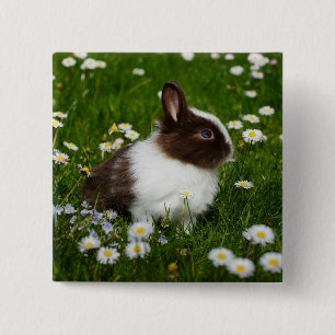 Liten Brown och White Bunny i Blommor Knapp