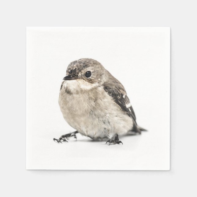 Liten Brun Trädgårdsfågel Foto Pappersservett (Framsidan)