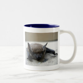 Liten brunfladdermus (Myotis lucifugus) Två-Tonad Mugg