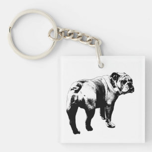 Liten Bulldog, Trogen Kakel