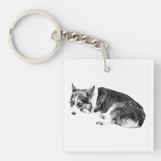 Liten Corgi, Trogen Fyrkant (Framsidan)