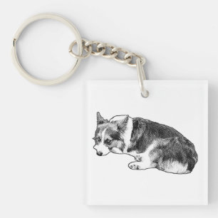 Liten Corgi, Trogen Platta