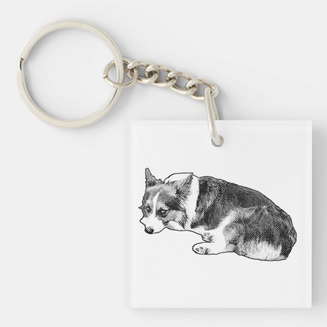Liten Corgi, Trogen Platta (Framsidan)