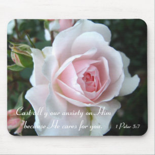 Liten delikat rosa ros musmatta