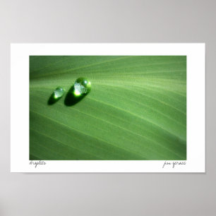 liten droppe poster