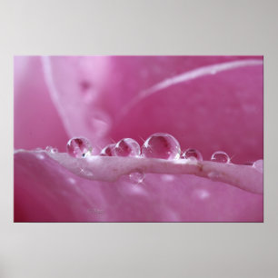 Liten droppe poster