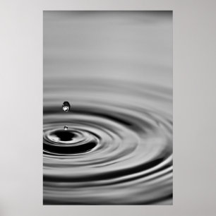 Liten dropperikoschett poster