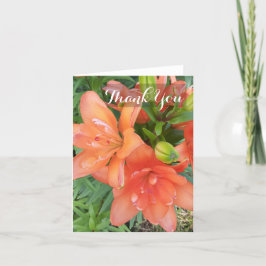 Liten dubbel Asiatic Lily Orange Blomma Tack Kort