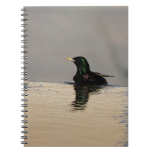 Liten fågel på Vatten Spiral fotopatbok Anteckningsbok