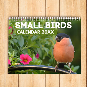 Liten fågelkalender 2025 kalender